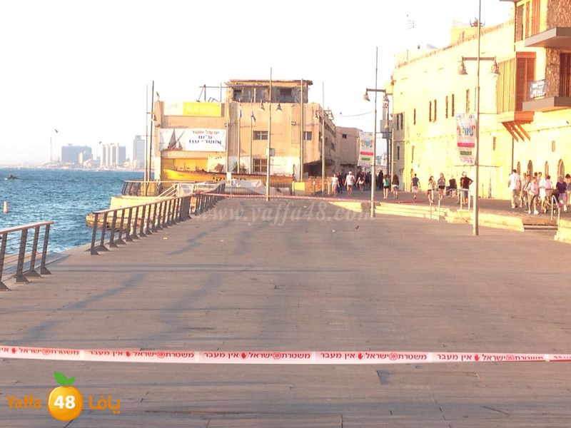 mina2 closed 0614 (5).JPG